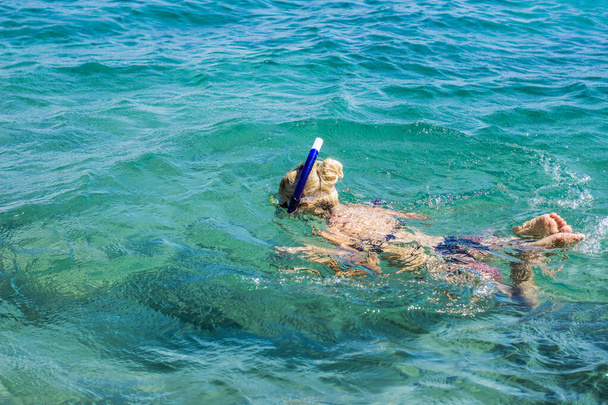 плавання снорклінг дівчина в масці Червономорська вода природа на відкритому повітрі навколишнє середовище літні канікули стиль життя спорт і розважальні заходи
 - Фото, зображення