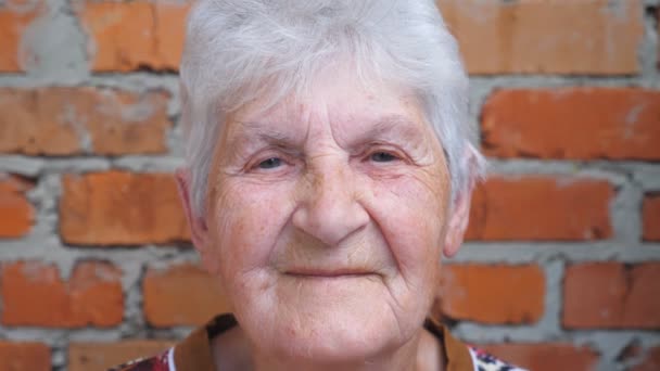 カメラと笑顔を見て灰色の髪を持つ幸せな高齢者の女性の肖像画。陽気で楽しい感情を示す顔にしわを持つ老婦人。おばあちゃんの積極的な顔の表情。閉じろ! - 映像、動画