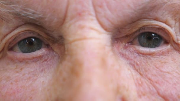 Retrato de mulher idosa assistindo pensativo na câmera. Close up de rosto feminino enrugado. Avó com expressão facial calma. Visualização de detalhes em câmera lenta - Filmagem, Vídeo