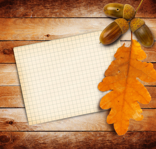 Old grunge paper with autumn oak leaves and acorns - Foto, Imagen