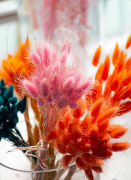Suszone kolorowe kwiaty do celów dekoracyjnych - Zdjęcie, obraz