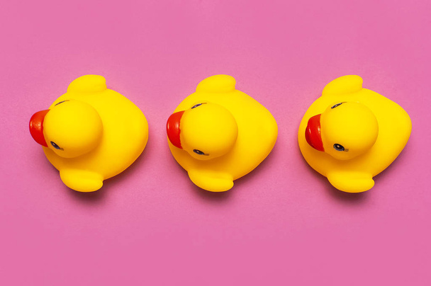 Trend Inflatable Children toy for swimming. Inflatable Three yellow chicken or duckling on pink background, pool float party. Flat lay copy space. Creative summer beach concept. Layout for design - Foto, imagen