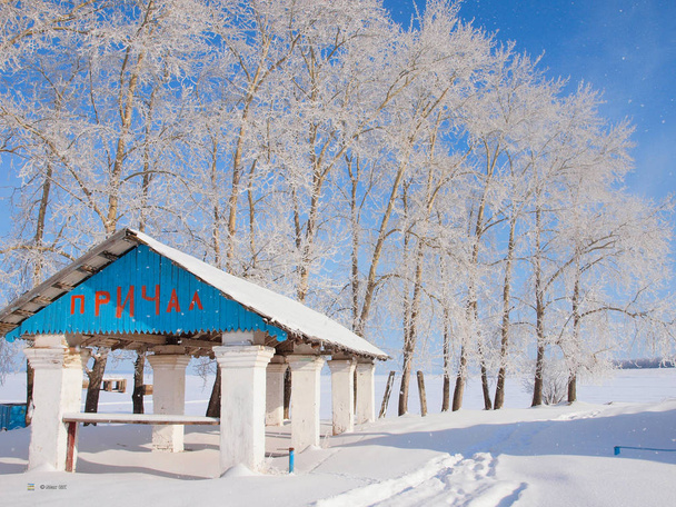 Árboles en las heladas. Nieve de invierno. Naturaleza rusa de invierno. Rusia, Ural, región de Perm
 - Foto, imagen