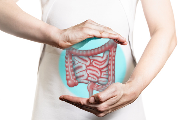 Immagine di una donna in abito bianco e modello 3d dell'intestino tra le mani. Concetto di intestino sano
. - Foto, immagini