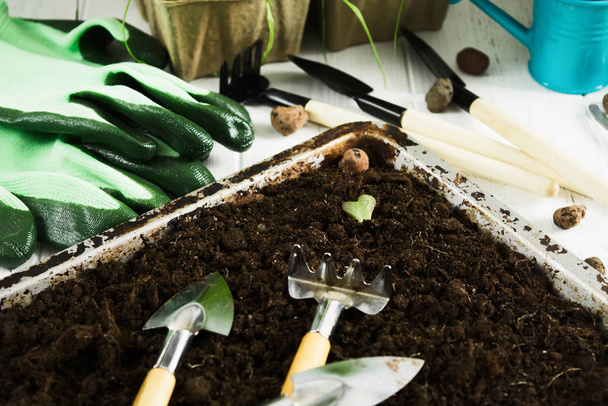 Gardening concept with tools and soil for plants. Selective focus - Фото, изображение