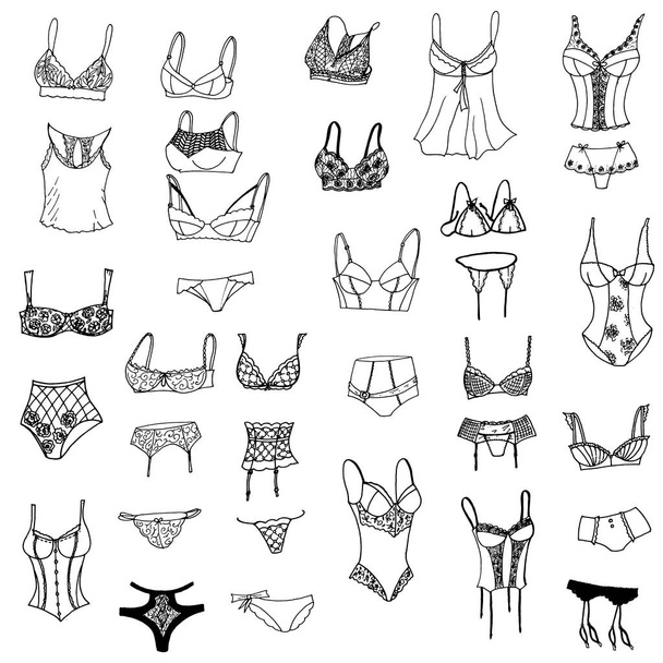 Collection of lingerie. Panty and bra set. Body. Vector illustrations. - Vector - Vetor, Imagem