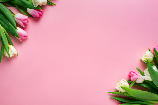 Top view of tulips on pink surface with copy space - Foto, Imagem