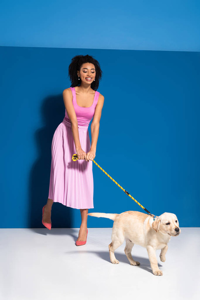elegant smiling african american woman with golden retriever puppy on leash on blue background - Valokuva, kuva