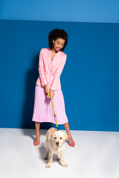 elegant smiling african american woman with golden retriever puppy on leash on blue background - Фото, изображение