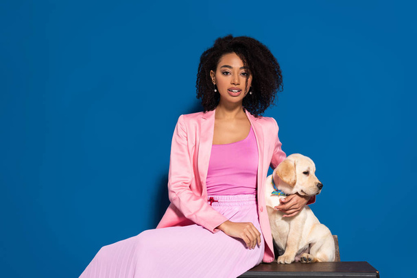 african american woman sitting with golden retriever puppy on blue background - Photo, Image