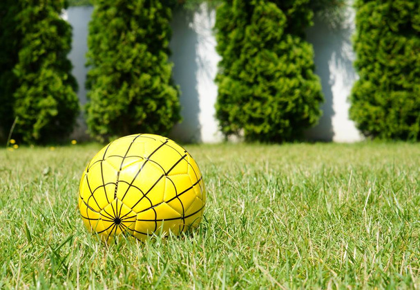 Closeup shot of a yellow soccer ball on a grassy field with greenery in the background - 写真・画像