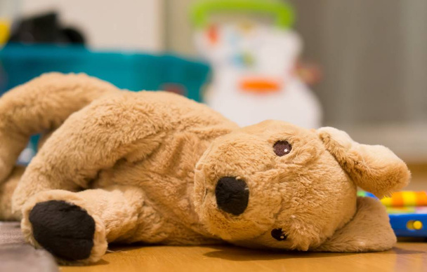 Toy of a brown bunny lying down in a room - Photo, image