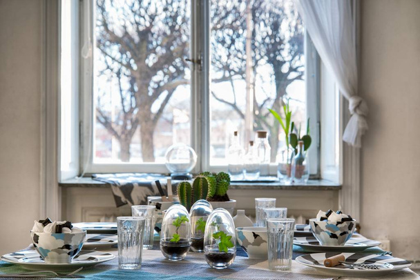 The ceramic tableware and exotic plants on the table near the window - Fotoğraf, Görsel