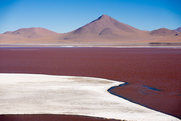 Laguna Colorada en la meseta Altiplano en Bolivia
 - Foto, imagen