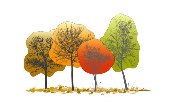 paisaje de árboles de colores y hojas caídas sobre un fondo blanco
 - Vector, imagen