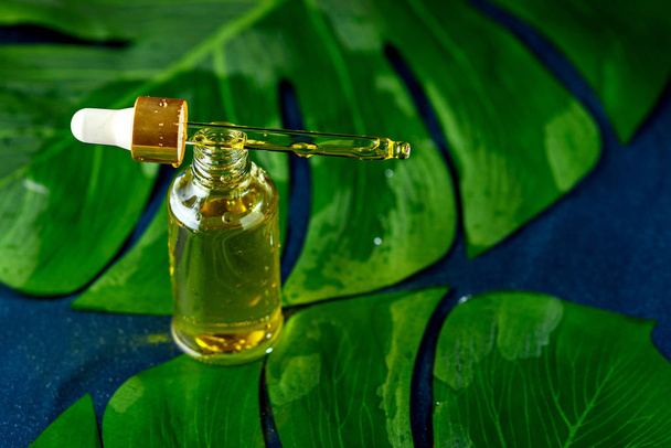 botella de gotero con aceite amarillo cosmético sobre hojas verdes sobre fondo azul clásico
 - Foto, Imagen