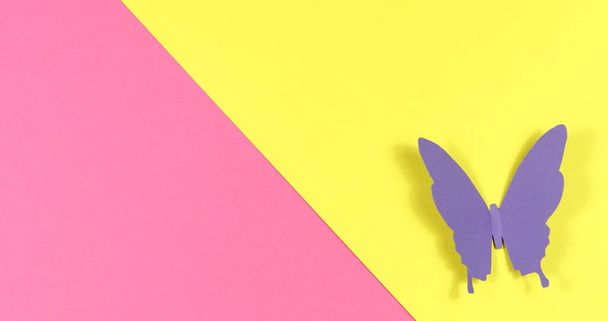 Χρωματιστές πεταλούδες πετούν γύρω σε ένα έγχρωμο φόντο χαρτί. - Φωτογραφία, εικόνα