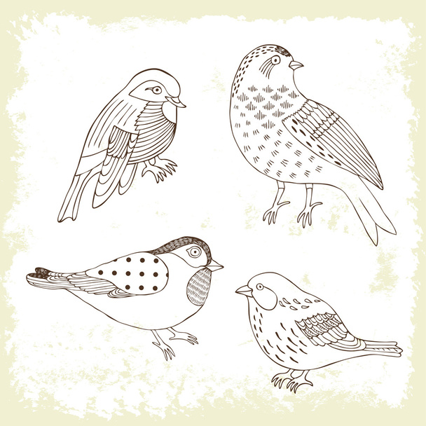 Bird hand drawn set - Vector, imagen