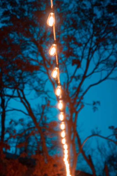 Guirnalda ligera en un árbol
 - Foto, Imagen