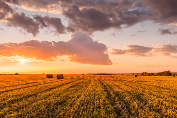 Escena de puesta de sol en el campo con pajar en temporada de otoño. Paisaje rural con fondo nublado. Cosecha dorada de trigo
. - Foto, imagen