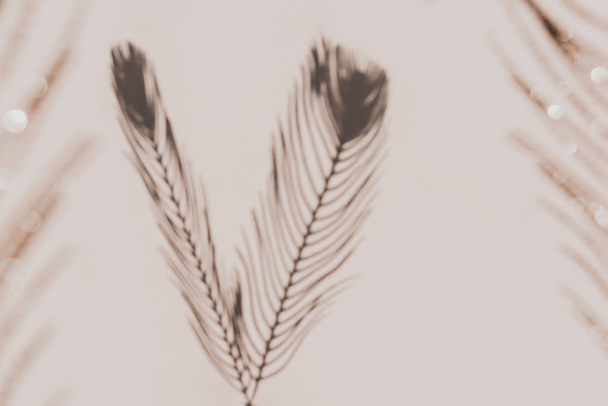 Серые тени павлиньих перьев на бежевом фоне. Абстрактная граница или рамка
. - Фото, изображение