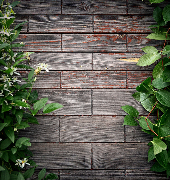 Wooden Background with Leaves - 写真・画像