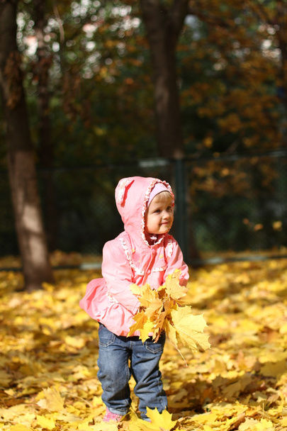 Little girl in autumn park - Fotoğraf, Görsel