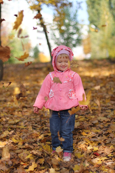 Little girl having fun with autumn leaves - Foto, afbeelding