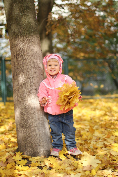 Little girl in autumn park - Fotó, kép