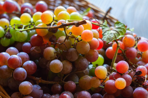 Ripe green and red grapes in a basket - Photo, Image