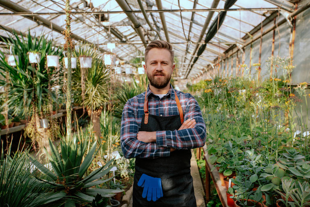 Attractive guy gardener in his own flower greenhouse smiling large looking straight to the camera smiling large - 写真・画像