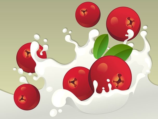 Milk splash with cranberries. - Vector, Image
