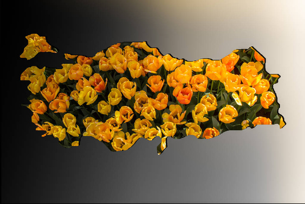 Zhruba načrtnuté Mapa Turecka s květinami - Fotografie, Obrázek