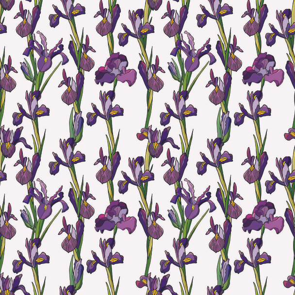 Iris púrpura, patrón sin costuras. fondo blanco, aislamiento. Ilustración de stock. Textura sin fin para el diseño de temporada
. - Vector, imagen