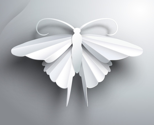 Bella farfalla di carta 3D bianca
. - Vettoriali, immagini