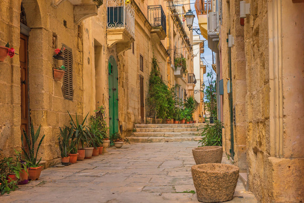 Old narrow medieval street with yellow buildings and flower pots in Valletta, Malta - Fotografie, Obrázek