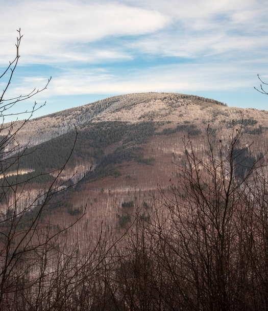 Travny λόφο το χειμώνα Moravskoslezske βουνά Beskydy στην Τσεχική Δημοκρατία - Φωτογραφία, εικόνα