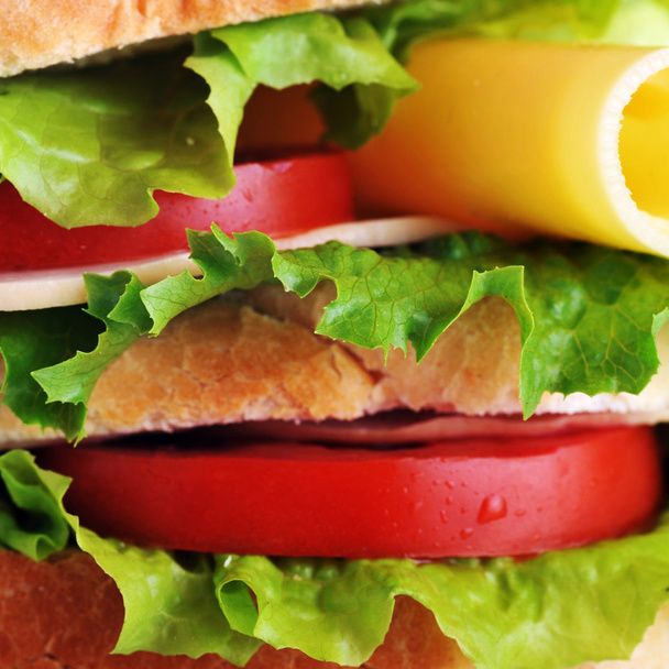 fresh and tasty sandwich - Foto, Bild