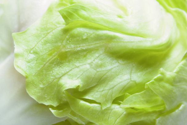 Yeşil salata yaprağı yakın plan. Taze buzdağı marulu. Sağlıklı sebze, vejetaryen yemeği. Seçici odak - Fotoğraf, Görsel