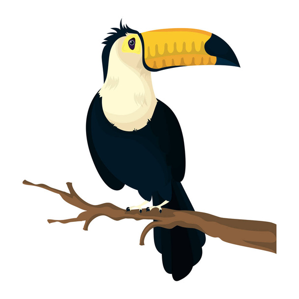tukan ptak egzotyczne zwierzę ikona - Wektor, obraz