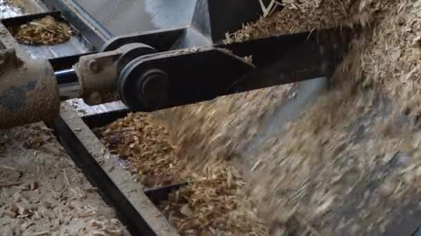 Průmyslová výroba třískových dřevěných zbytků pelety-Transport - Záběry, video