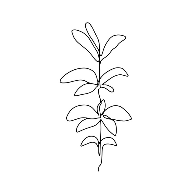 Abstract one continuous line art with botanical illustration with leaf, petal and grass. Simple digital illustration. Vector graphic design download - Vektori, kuva