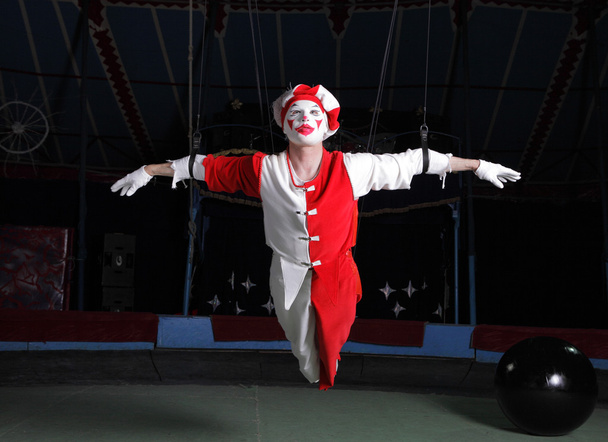 Circus air acrobat - 写真・画像
