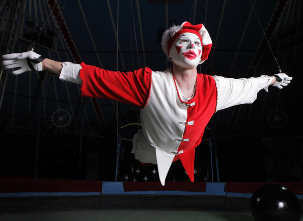 Circus air acrobat - Фото, зображення