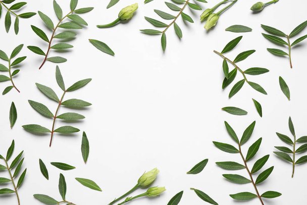 Πλαίσιο από όμορφα μπουμπούκια λουλουδιών και πράσινα κλαδιά σε λευκό φόντο, πάνω όψη με χώρο για κείμενο. Σχεδιασμός Floral κάρτας - Φωτογραφία, εικόνα