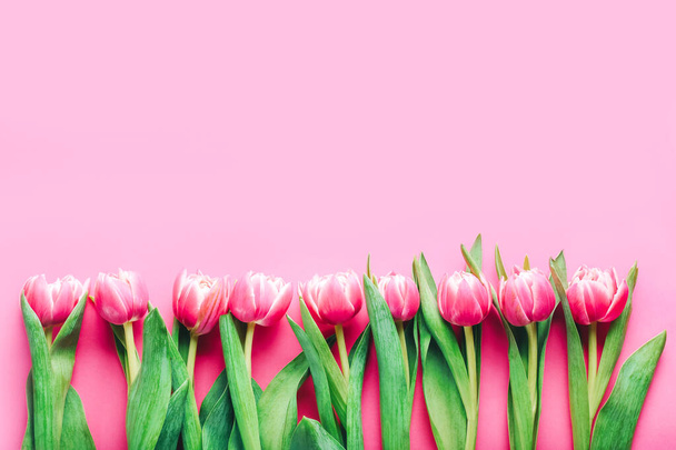 Piękne tulipany w wierszu na różowym tle - Zdjęcie, obraz