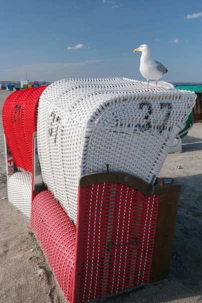 a seagull Beach szék - Fotó, kép