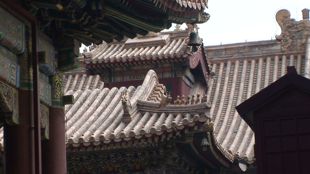 telhado dragão chinês
 - Filmagem, Vídeo