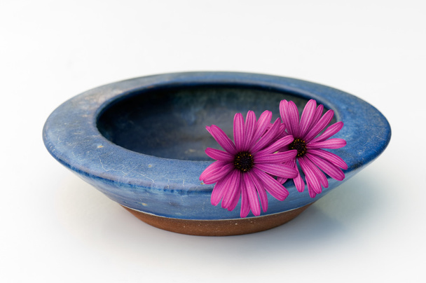 Bowl and flowers - Zdjęcie, obraz