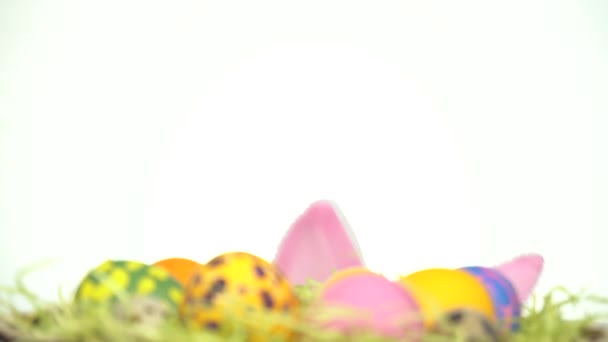 Happy Easter. A man with rabbit ears looks out from behind Easter eggs - Séquence, vidéo